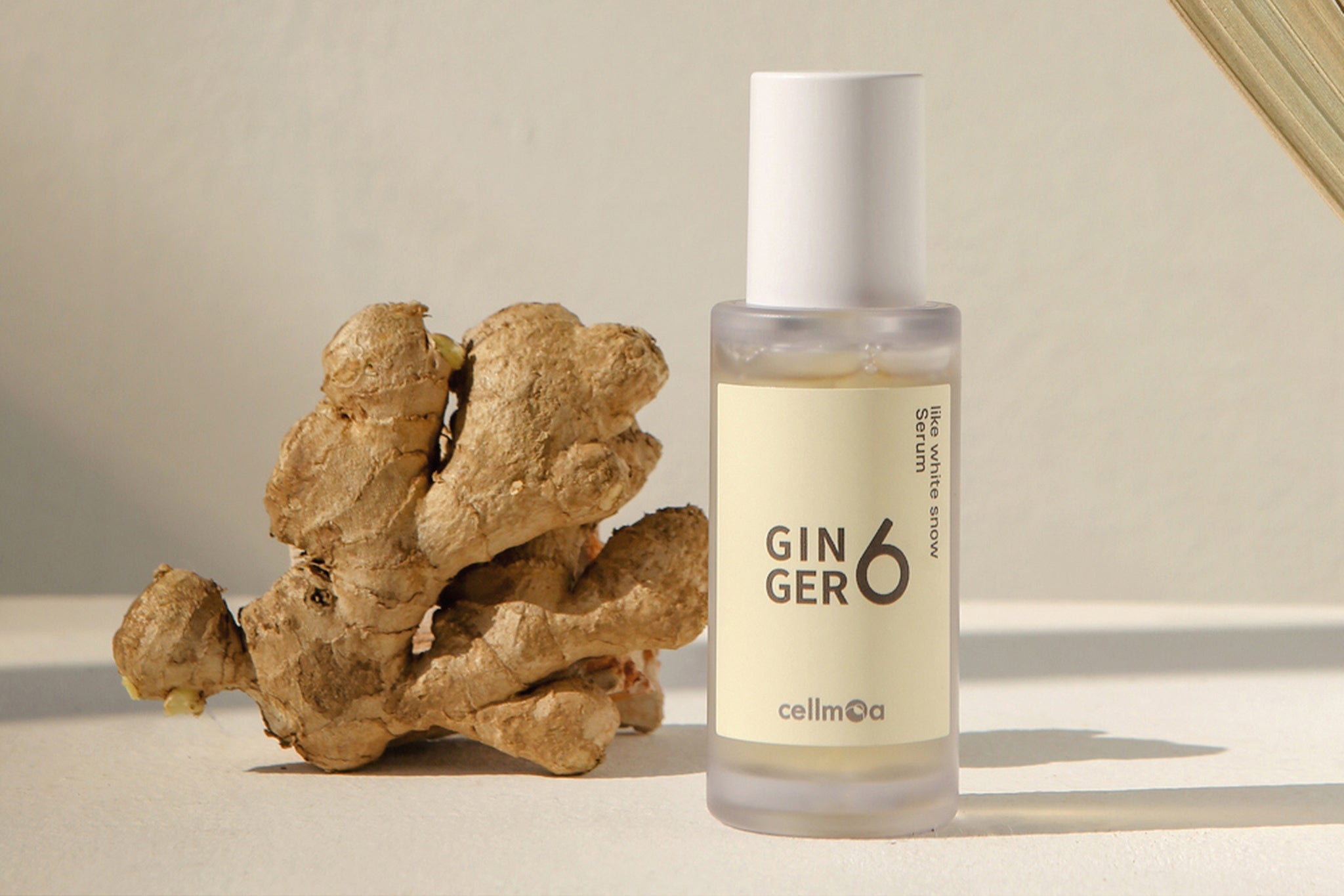 Ginger 6 Like White Snow Serum – Brightening & Hydrating Glow